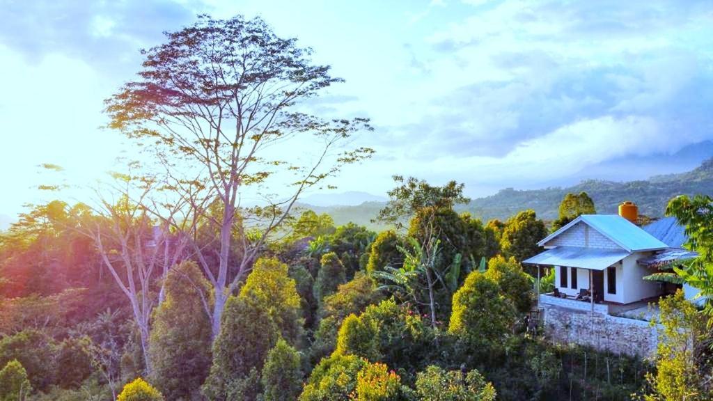 Sun Rice Homestay Ruteng Exterior foto